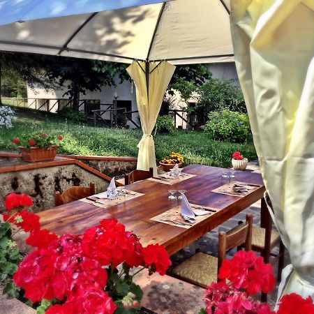 Agriturismo Bicocchi Villa Piteglio Dış mekan fotoğraf