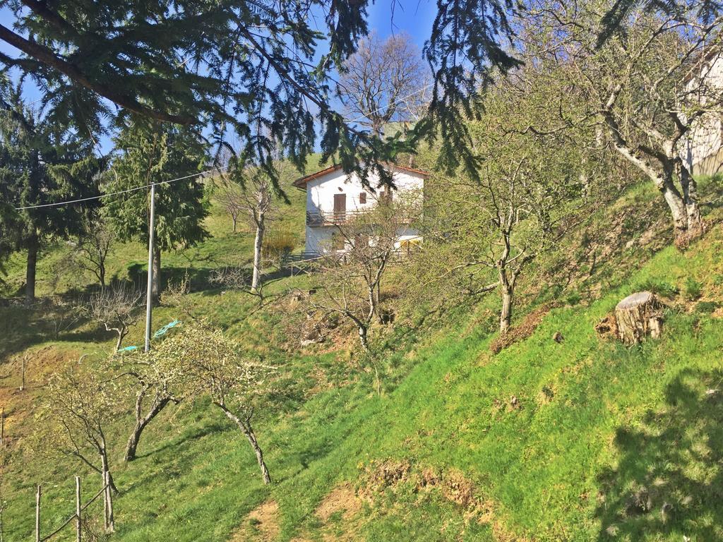 Agriturismo Bicocchi Villa Piteglio Dış mekan fotoğraf
